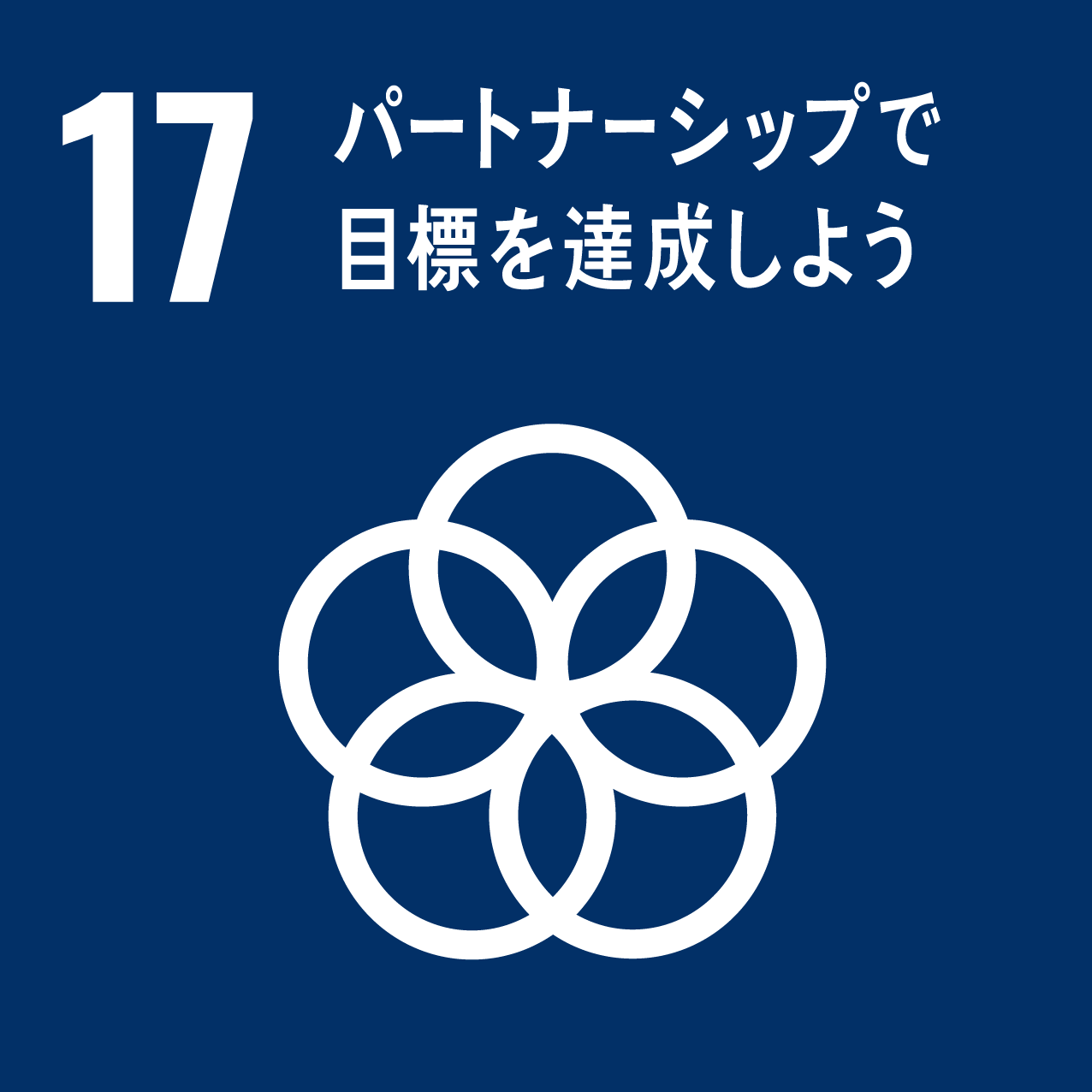 SDG Goal 17